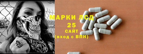 PSILOCYBIN Балабаново