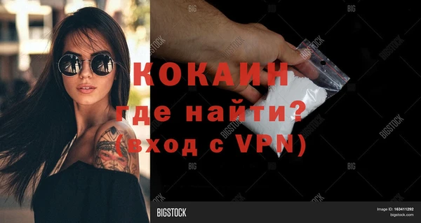 PSILOCYBIN Балабаново