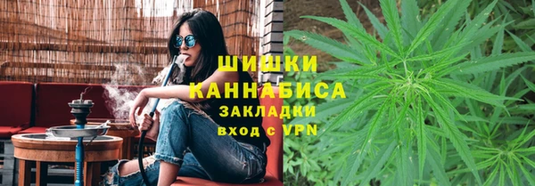 PSILOCYBIN Балабаново