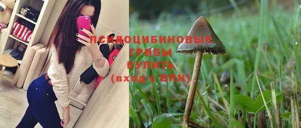 PSILOCYBIN Балабаново